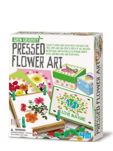 Green Creativity Pressed Flower Art Kit